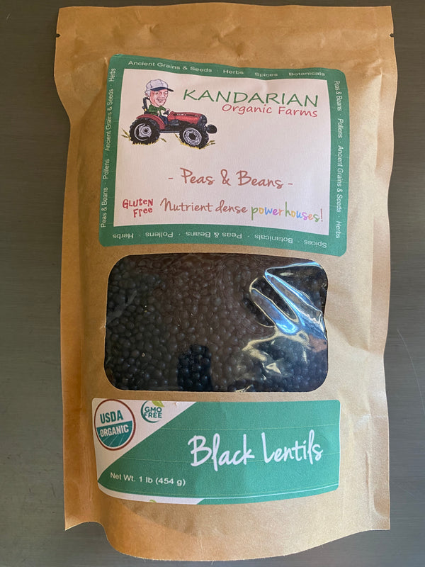 Organic Black Lentils from Kandarian Farms
