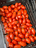 San Marzano Tomatoes from Beylik Farms