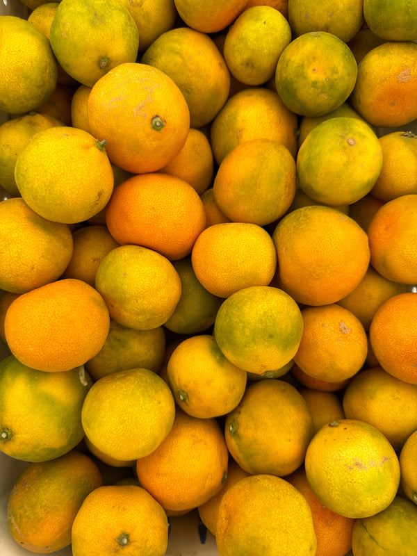 Organic Satsuma Mandarin from Murray Family Farms - 2lbs