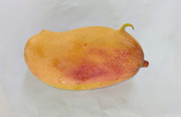 Valencia Pride Mango from Wong Family Farms 2lbs