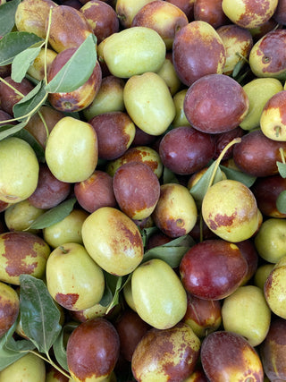 Jujubees - HER Produce  - 1lb