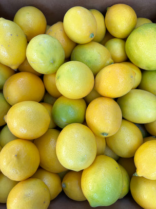 Meyer Lemons from Murray Family Farms - 2lbs - Certified organic