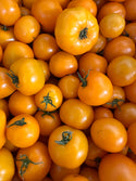 Yellow Tomatoes from Beylik Farms - 2lbs