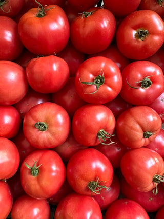 Momotaro Tomatoes from Beylik Farms - 2lbs of