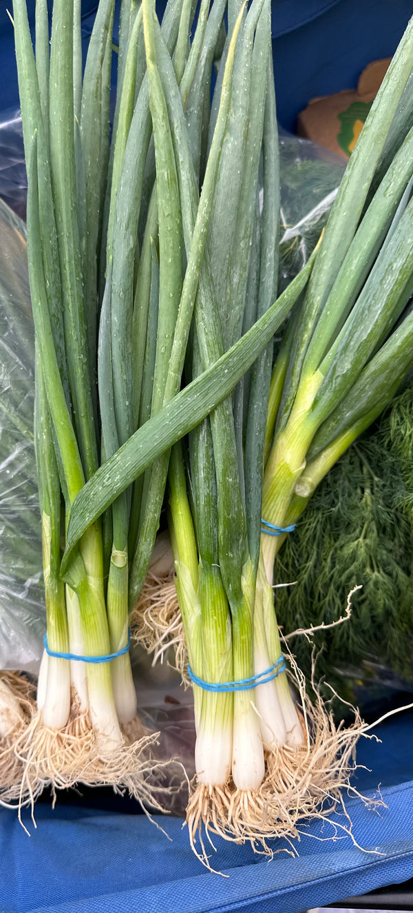 Scallions from HER Produce