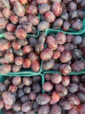 Crimson from Country Rhodes Farm 2lbs