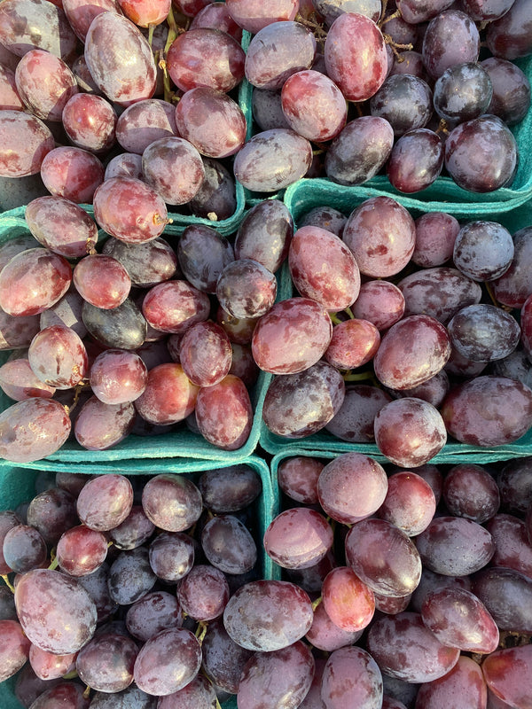 Crimson from Country Rhodes Farm 2lbs