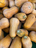 Organic Honeynut Squash from Sunrise Farms - 2lb