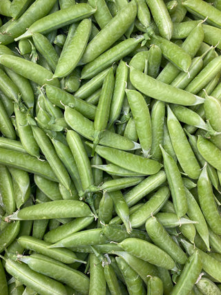 Sugar Snap Pea from Frecker Farms 1lb Certified Organic