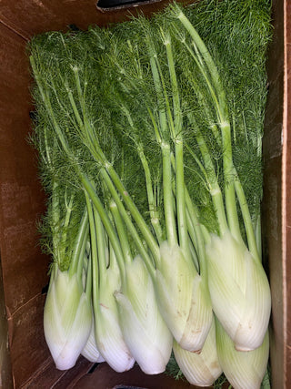 Fennel from Frecker Farms certified organic 1 unit