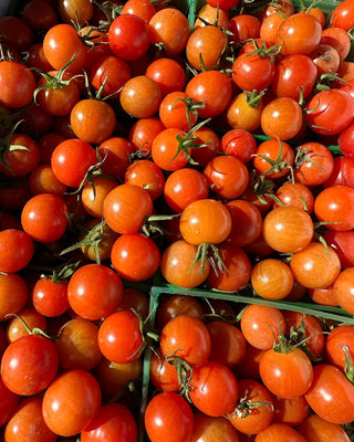 Cherry Tomatoes Certified Organic from Frecker Farms