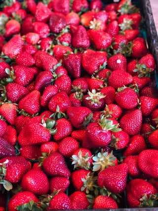Organic Strawberries from Frecker Farms