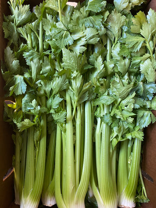 Celery - Garden Of - Certified Organic