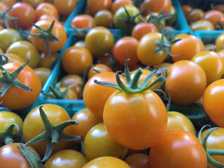 Organic Sungold Cherry Tomatoes from Frecker Farms - 1 pint
