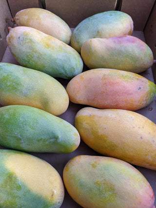 Valencia Pride Mango from Wong Family Farms 2lbs