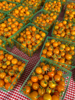 Sungold Tomatoes from Munak Ranch - 1 pint