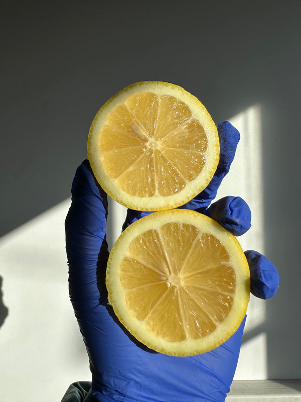 Lisbon Lemon from Murray Family Farms certified organic sold by 1lb