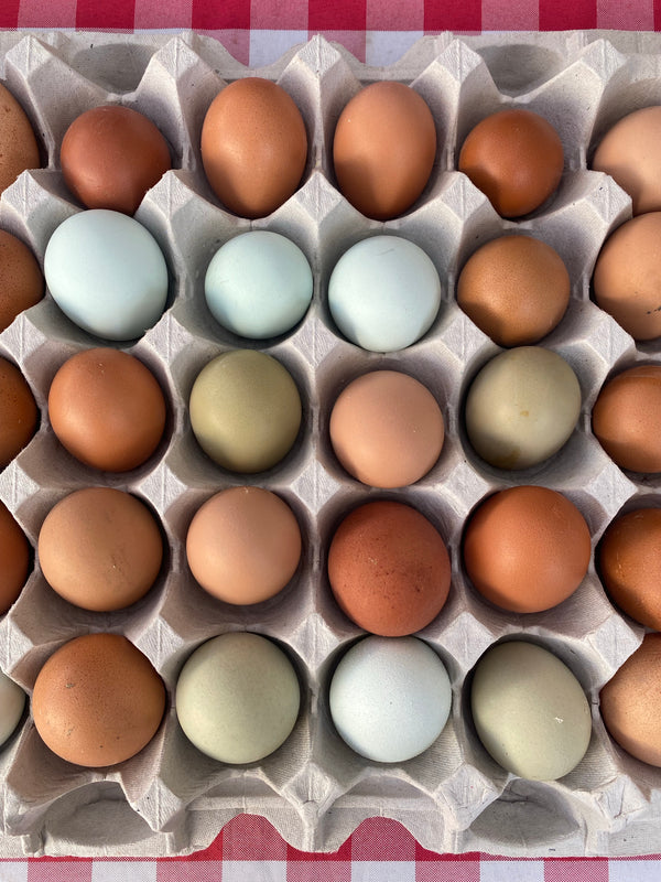 Lilly’s Eggs - Brown, Heirloom & Green Eggs from Fillmore, CA