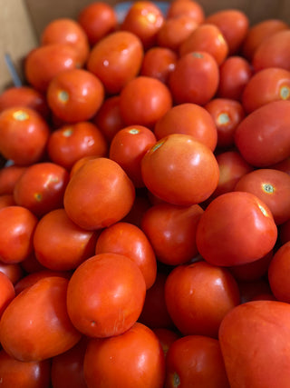 Roma Tomato Certified Organic from Frecker Farms 2lbs