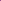 Chidori Kale - Certified Organic from Garden Of