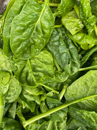 Spinach from Garden Of - Certified Organic