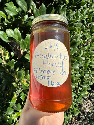 Eucalyptus Honey from Lilly’s 16oz and 8oz