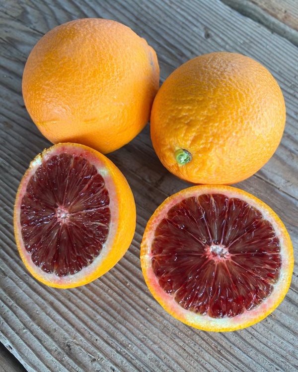 Blood Oranges & Cara Cara from Galpin Family Farms 2lbs