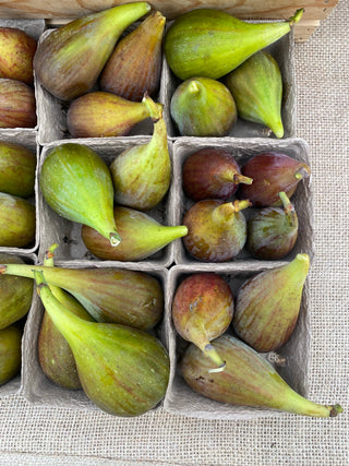 Organic Figs from Apricot Lane Farms - Certified Biodynamic and Organic - half pint