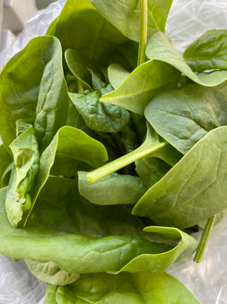 Spinach from Country Fresh Herbs